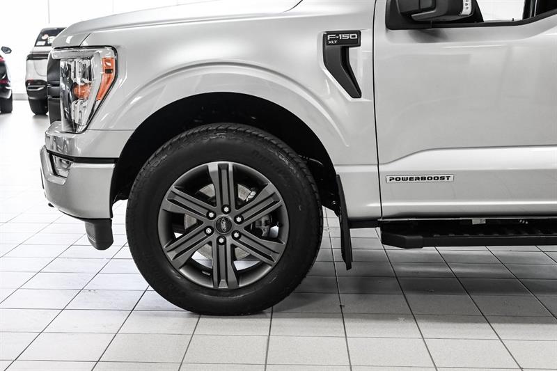 ford F-150 2023 - 14