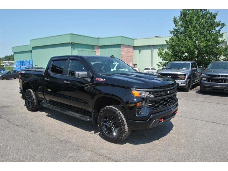 chevrolet Silverado 1500 2024 - 7
