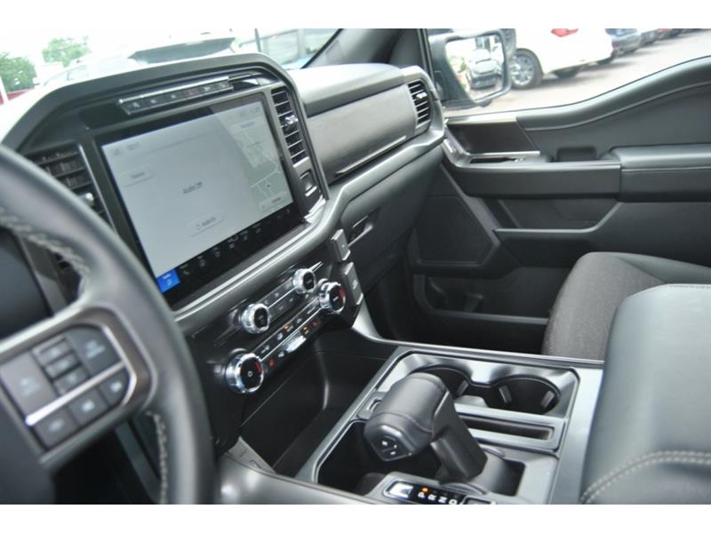 ford F-150 2024 - 15