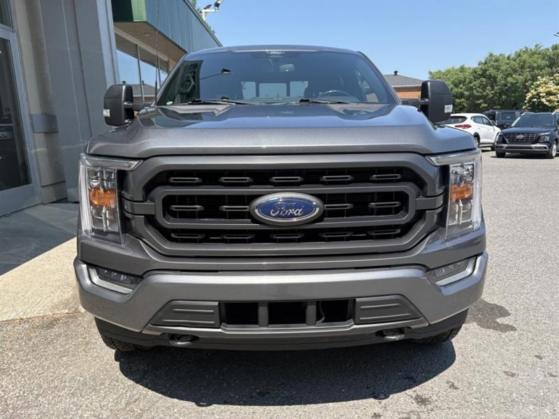 ford F-150 2022 - 3