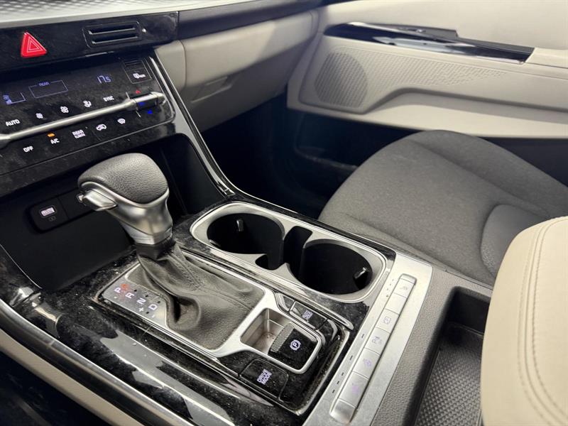 kia Carnival 2024 - 21