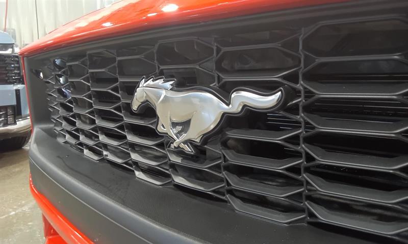 ford Mustang 2025 - 13