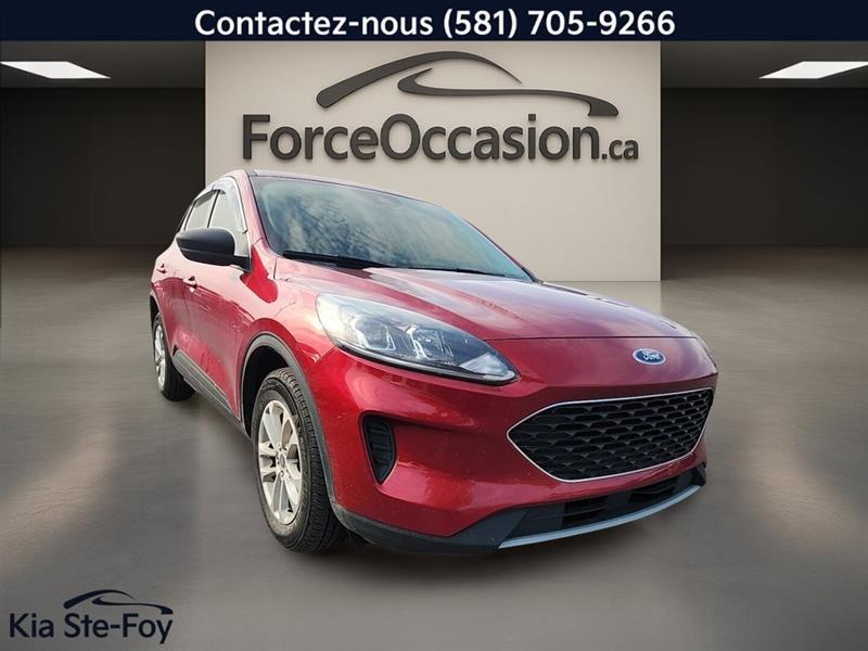 ford Escape 2022 - 2