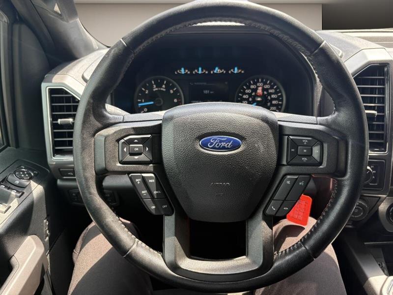 ford F-150 2019 - 14