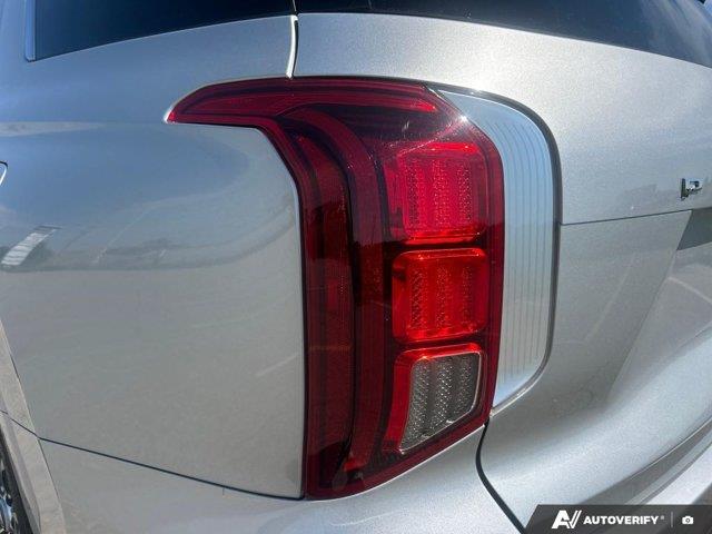 hyundai Palisade 2024 - 14