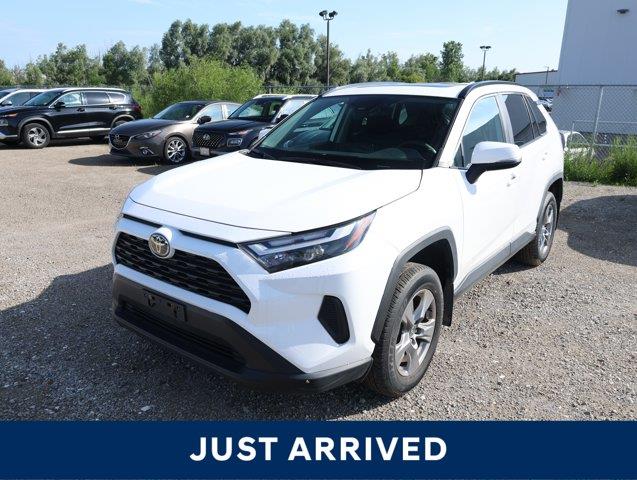 toyota RAV4 2025