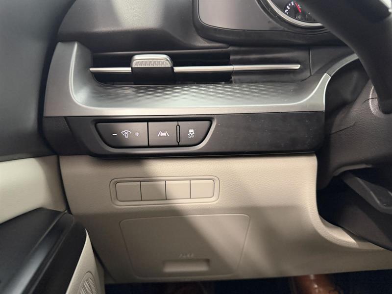 kia Carnival 2024 - 22