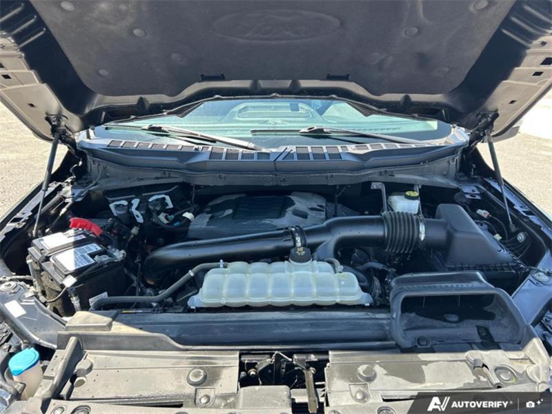 ford F-150 2023 - 13