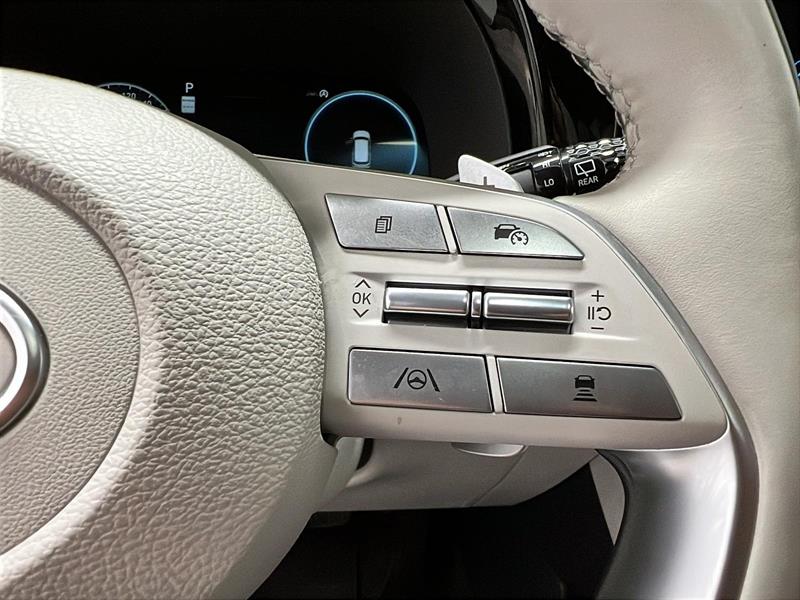 hyundai Palisade 2023 - 24