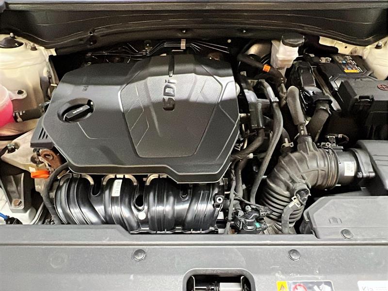 kia Sportage 2023 - 12