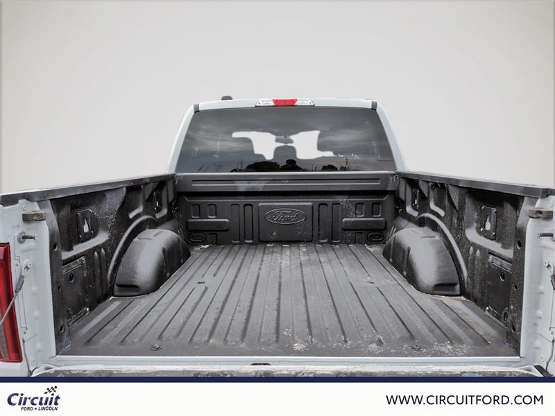 ford F-150 2024 - 7