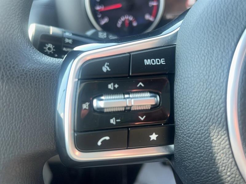 kia Carnival 2024 - 22