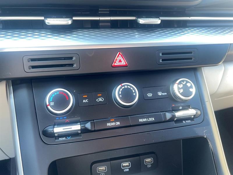 kia Carnival 2024 - 29