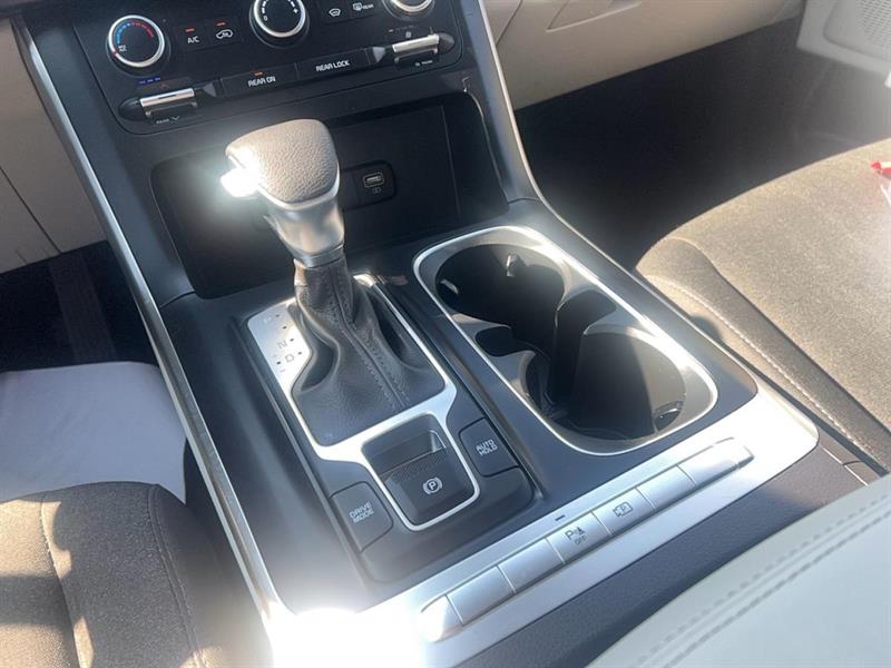 kia Carnival 2024 - 30