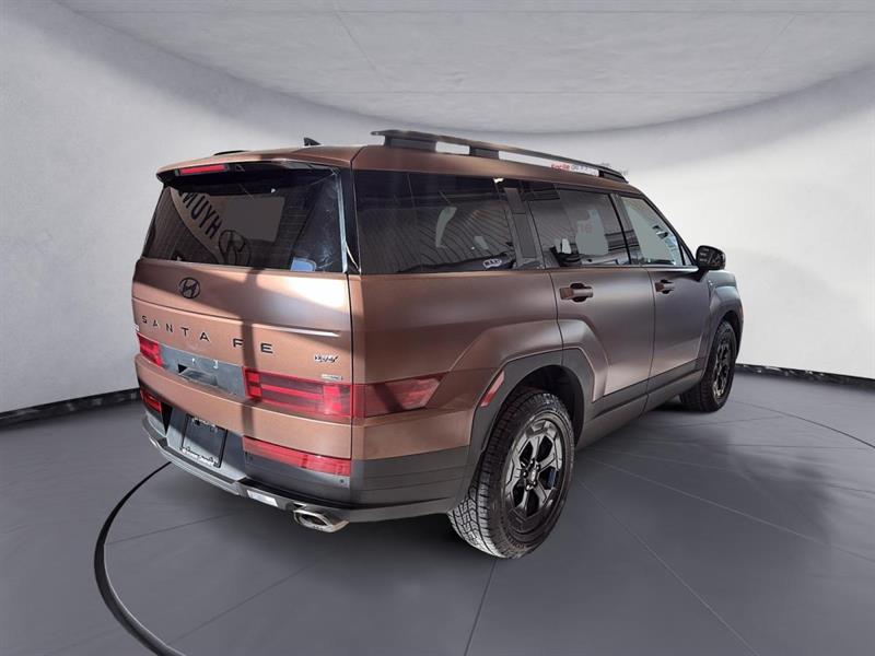 hyundai Santa Fe 2024 - 6