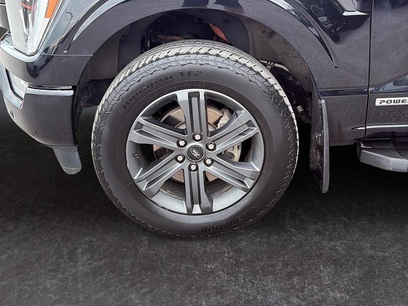 ford F-150 2023 - 6