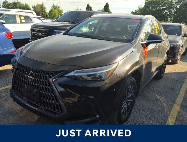 lexus NX 2024