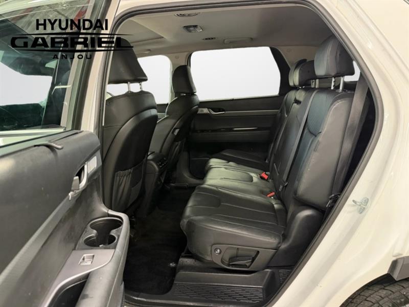 hyundai Palisade 2023 - 25