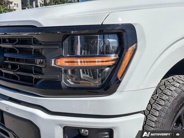 ford F-150 2025 - 10
