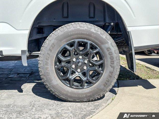 ford F-150 2025 - 11