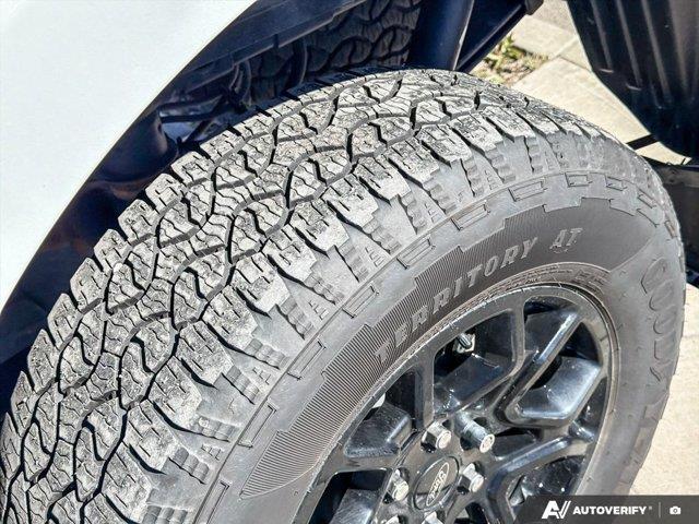 ford F-150 2025 - 12