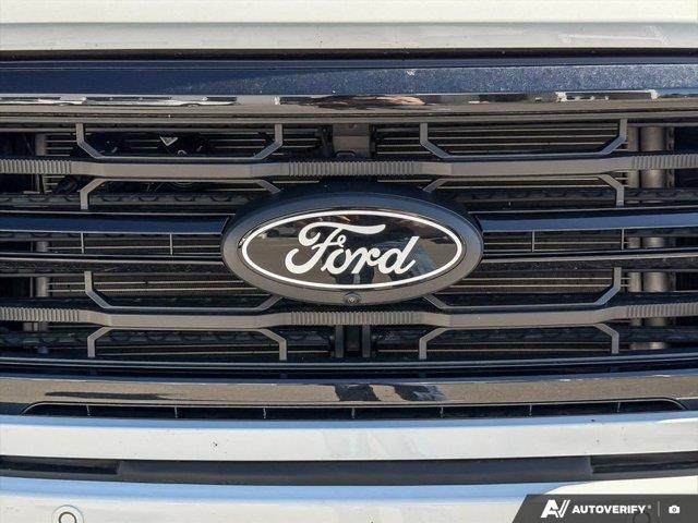 ford F-150 2025 - 13