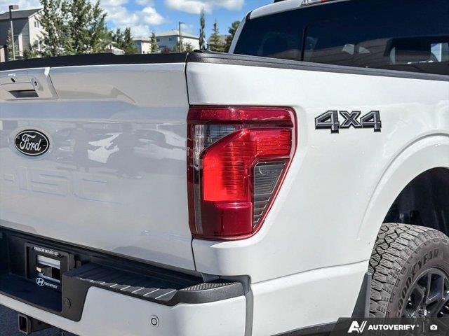 ford F-150 2025 - 14