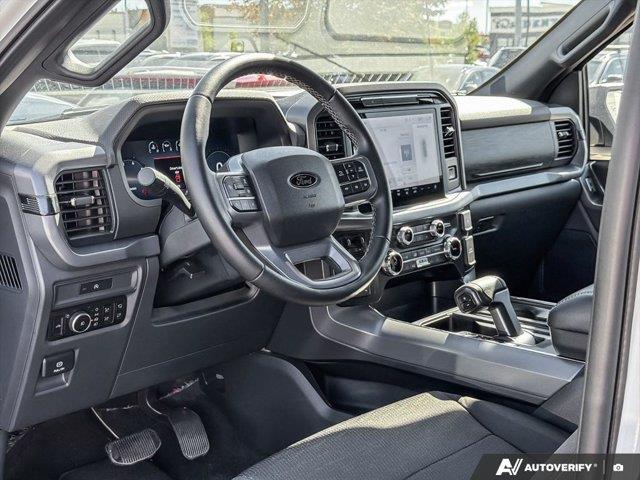 ford F-150 2025 - 17