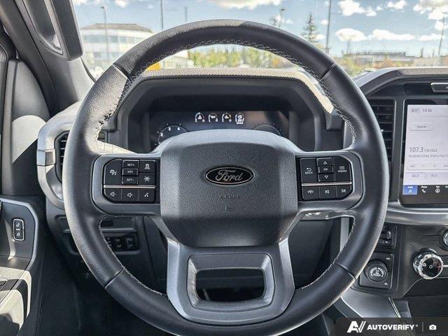 ford F-150 2025 - 19