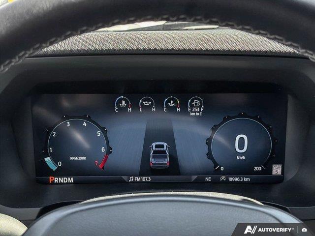 ford F-150 2025 - 20