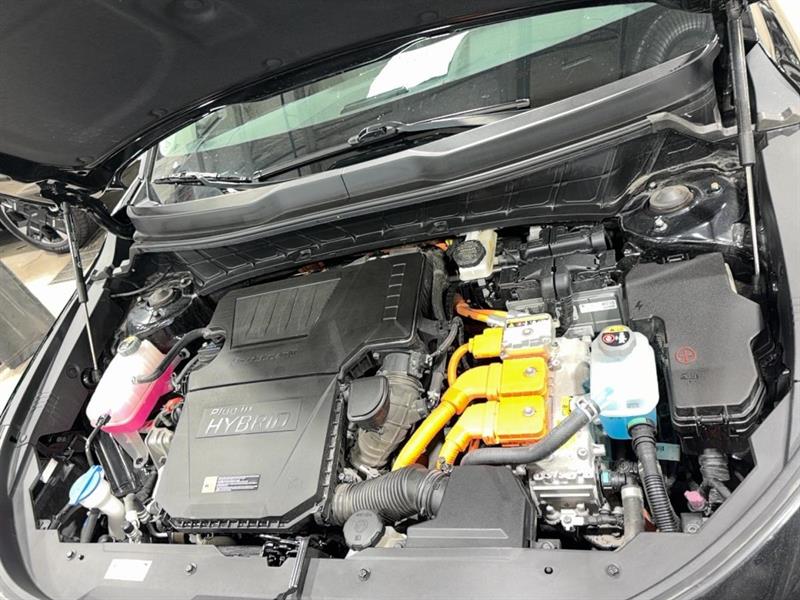 kia Niro 2024 - 7