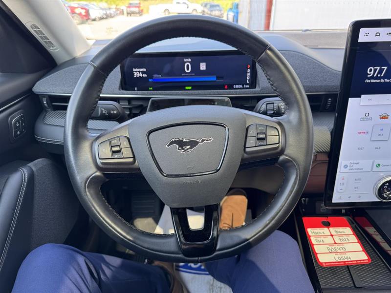 ford Mustang Mach-E 2023 - 15