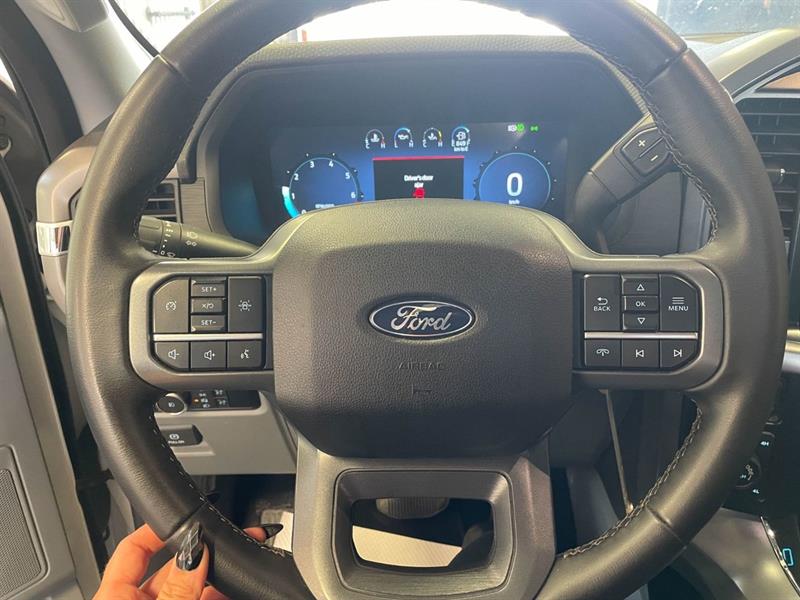 ford F-150 2024 - 16