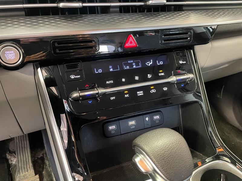 kia Carnival 2024 - 14