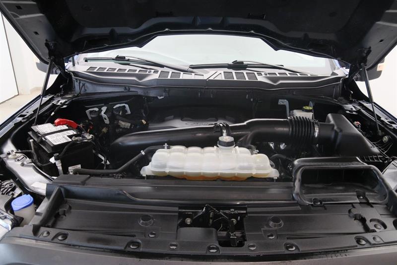 ford F-150 2023 - 14