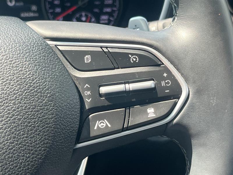 hyundai Santa Fe 2023 - 21