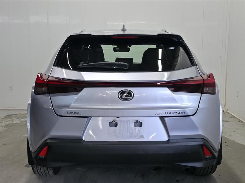 lexus UX-series 2023 - 6