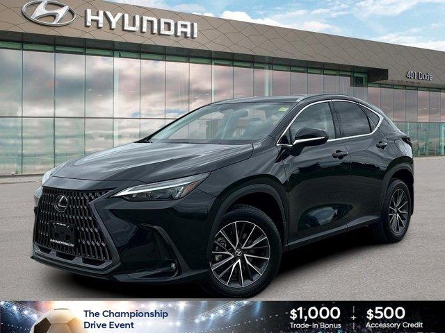lexus NX 2024