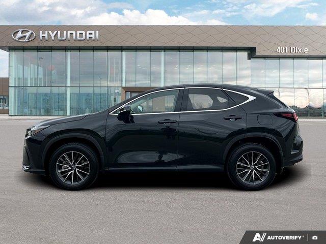 lexus NX 2024 - 2