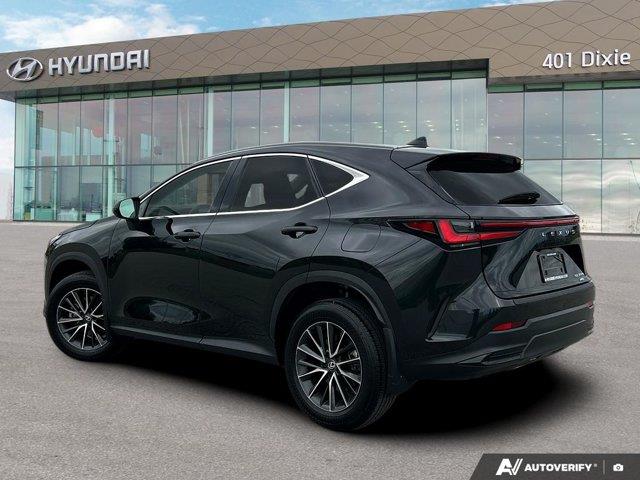lexus NX 2024 - 3