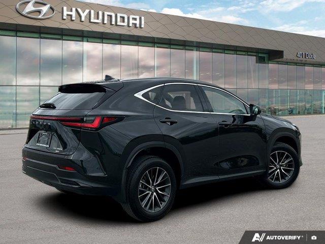 lexus NX 2024 - 5