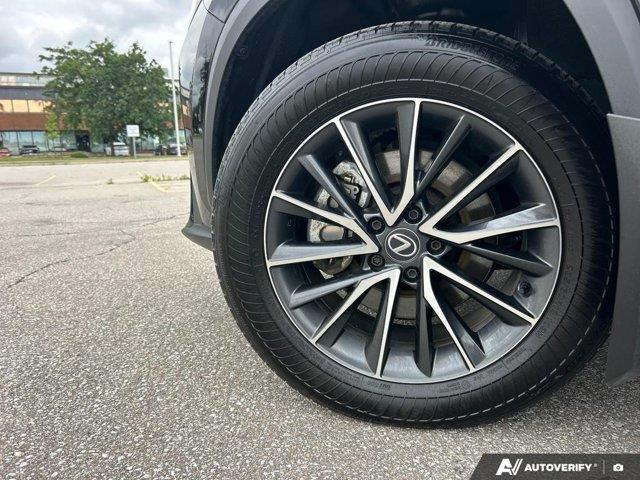 lexus NX 2024 - 9