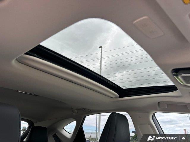 lexus NX 2024 - 25