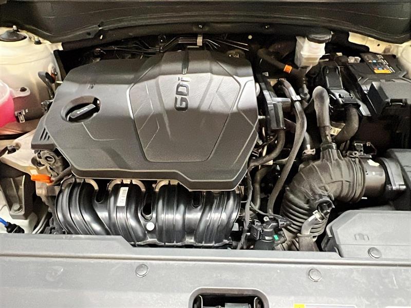 kia Sportage 2024 - 11
