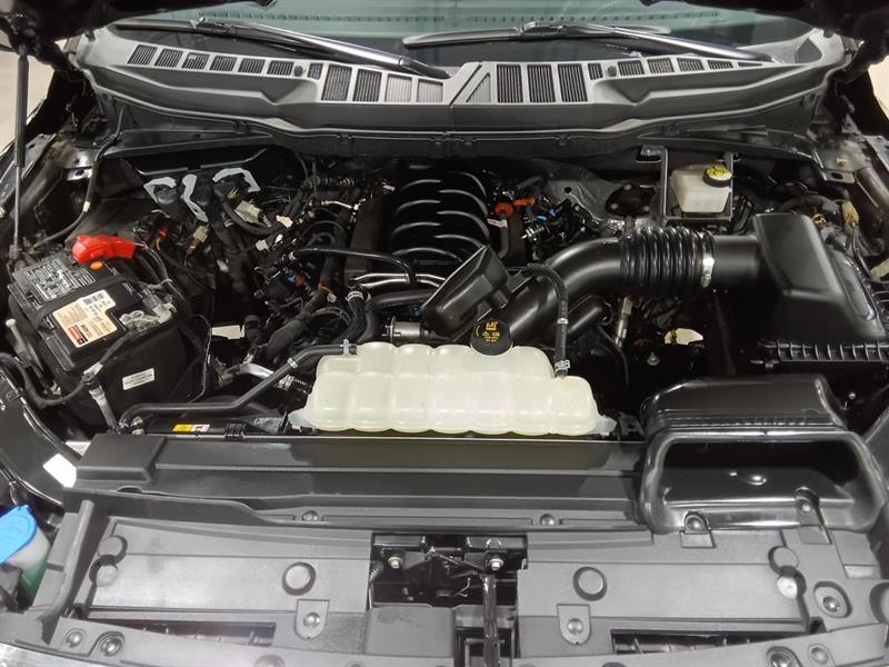ford F-150 2023 - 7