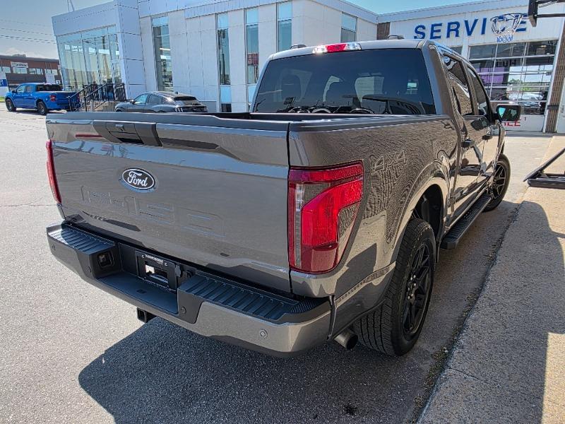 ford F-150 2024 - 5