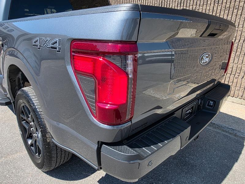 ford F-150 2024 - 10