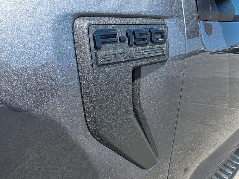 ford F-150 2024 - 15