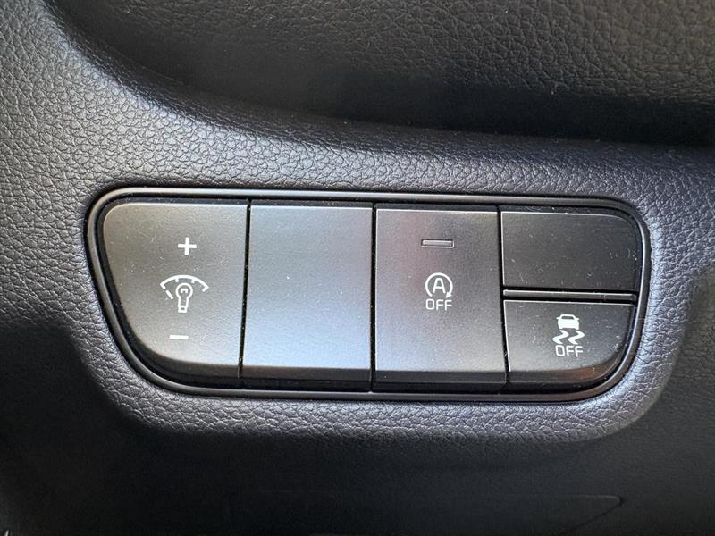 kia Seltos 2021 - 17