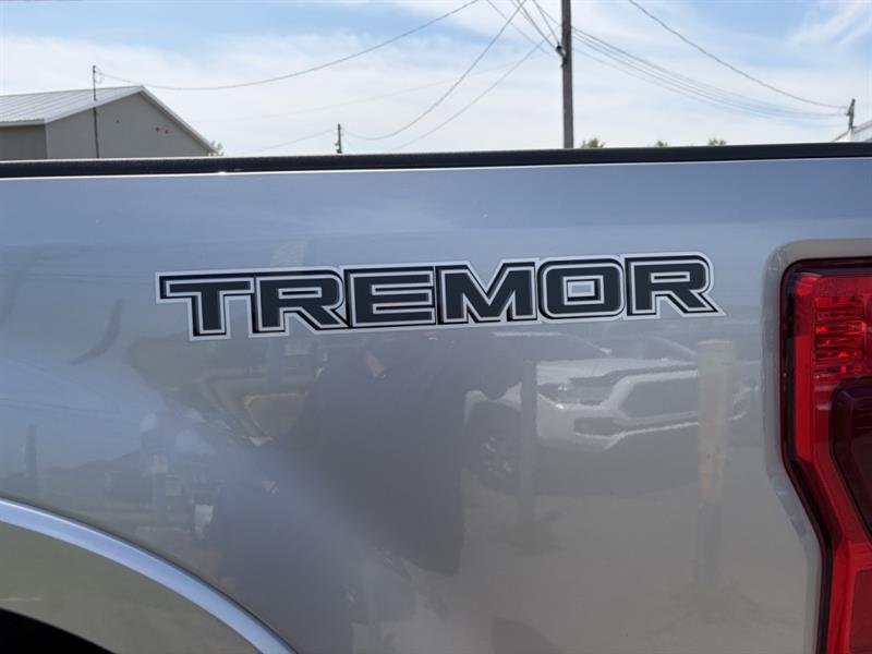 ford Super Duty F-350 a roues arrière simples 2021 - 9